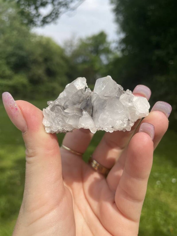 Brookietfantoom Cluster (Zeldzaam)