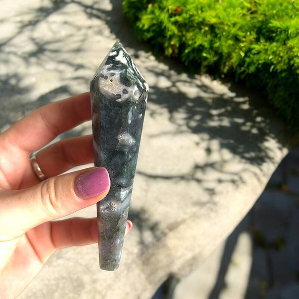 Boom / Mos Agaat Punt