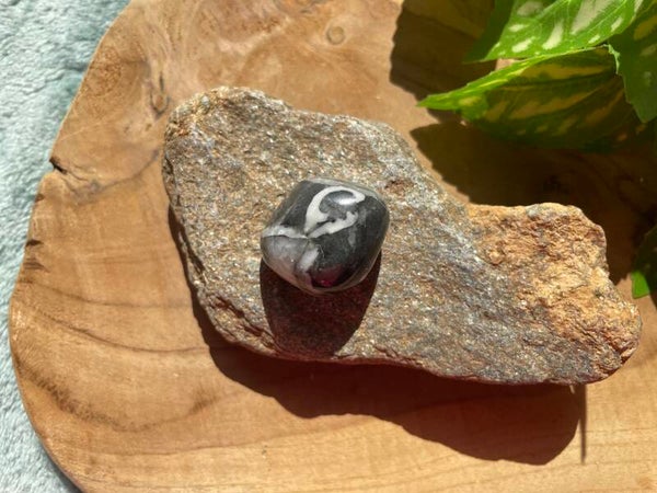 Shell Jaspis Trommelsteen