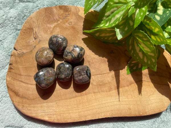 Que Sera Trommelstenen