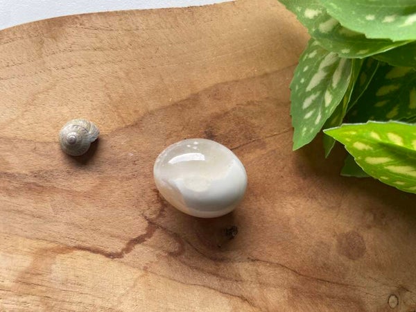 Kersenbloesem Agaat / Orka Agaat Trommelsteen