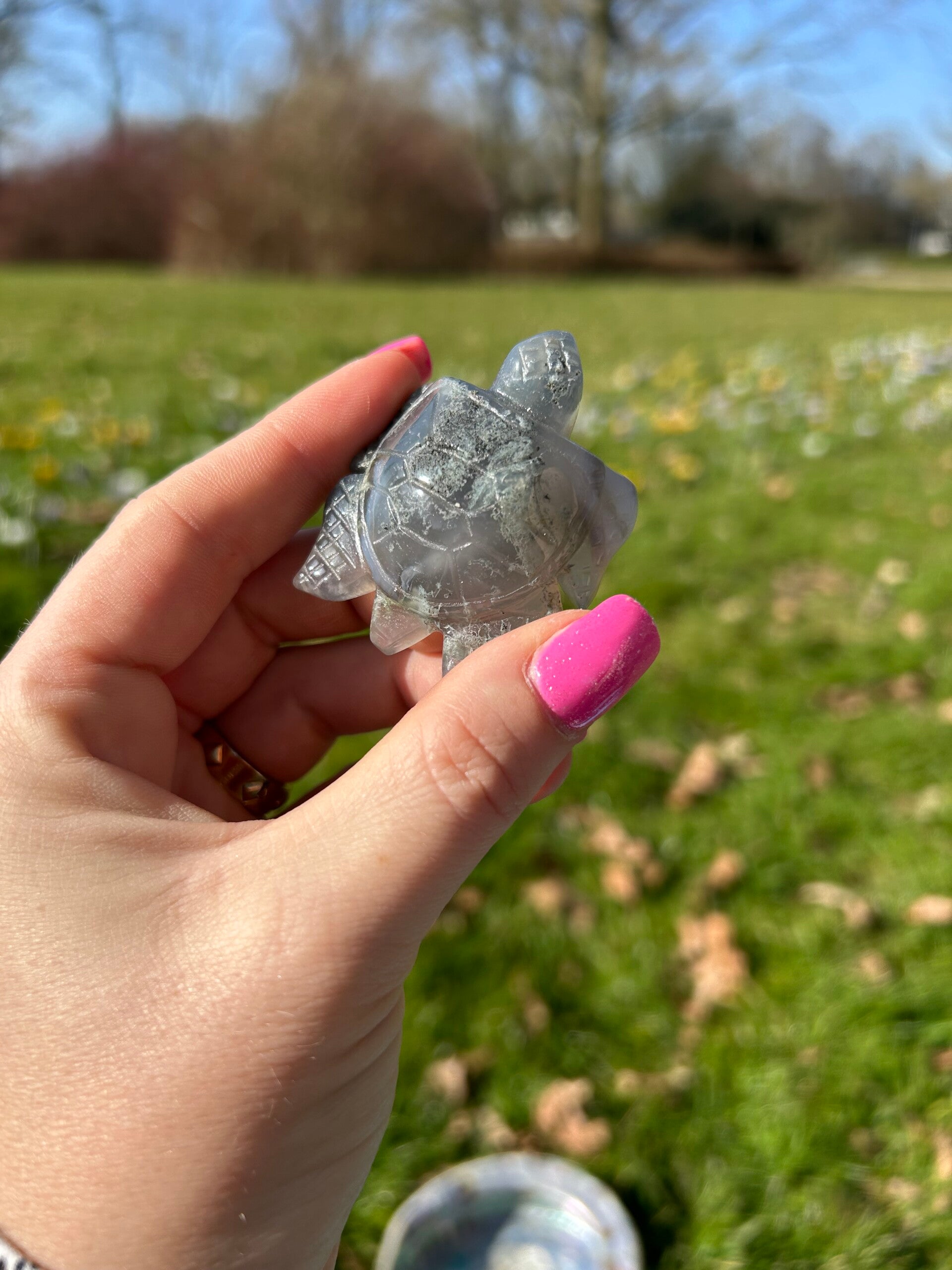 Mos / Boom Agaat Schildpad