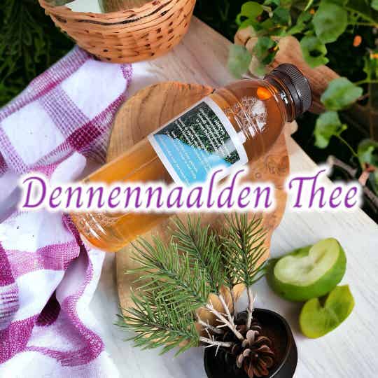 Mercy's Pine Needle Tea (500ml)