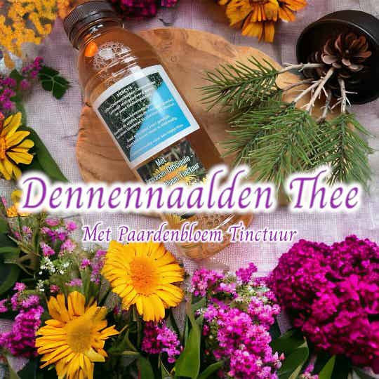 Mercy's Paardenbloem Pine Needle Tea