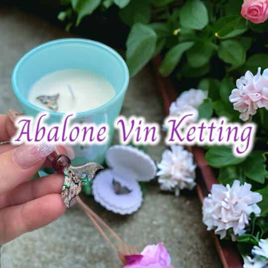 Zeemeermin Vin Ketting van Abalone Schelp