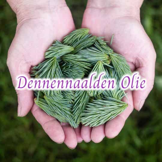 Dennennaalden Olie