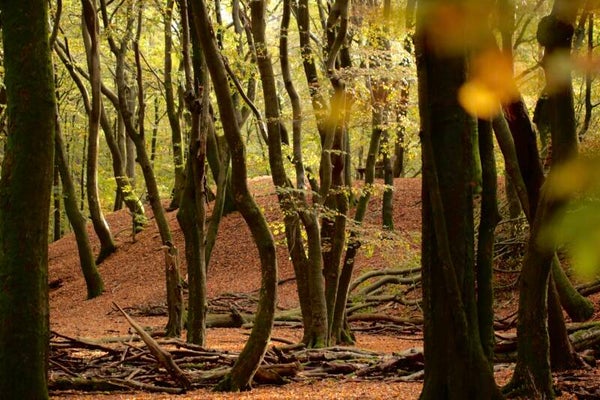 1 op 1 traject : Kom in je kracht