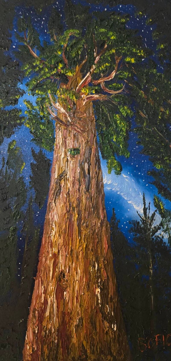 Sequoia - General Sherman