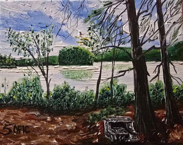 Adirondack  vista