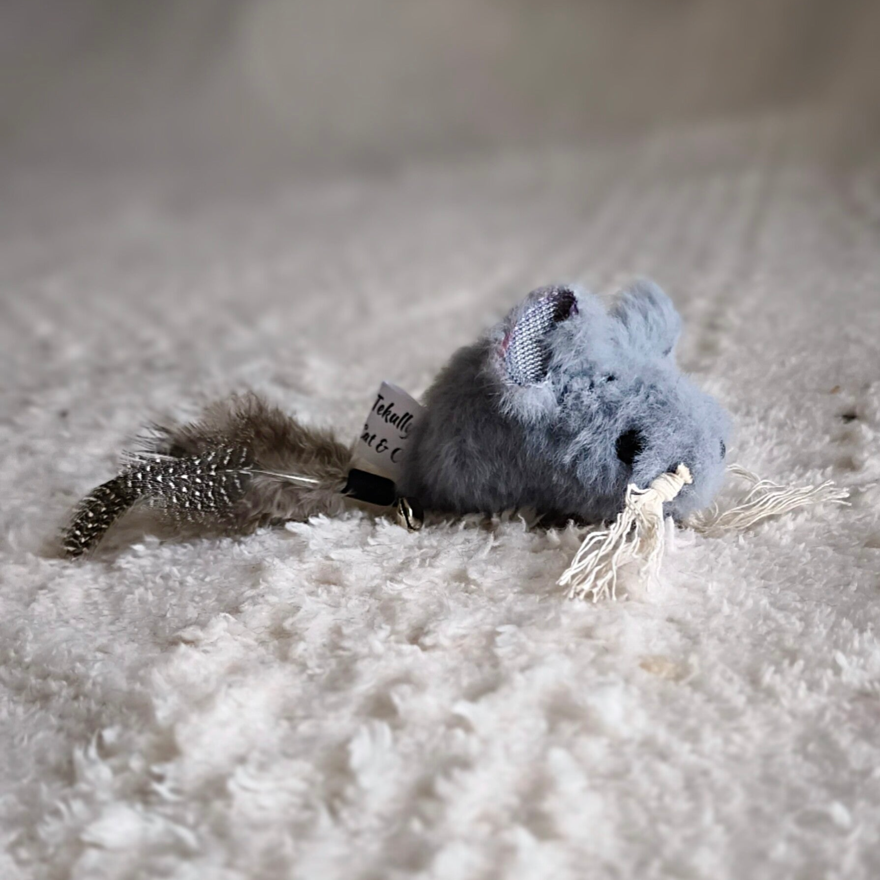Petite souris