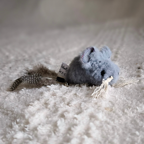 Petite souris