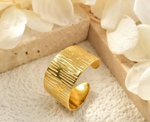 Bague acier inoxydable