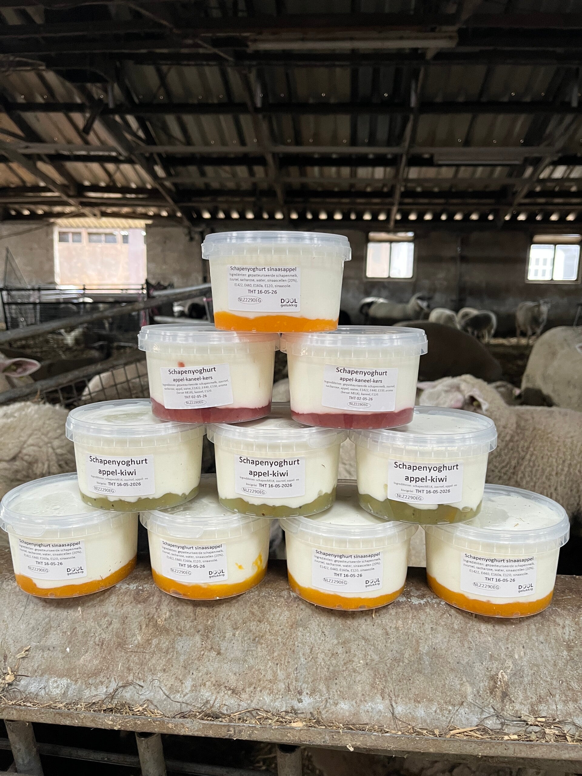 Schapenyoghurt met smaakje