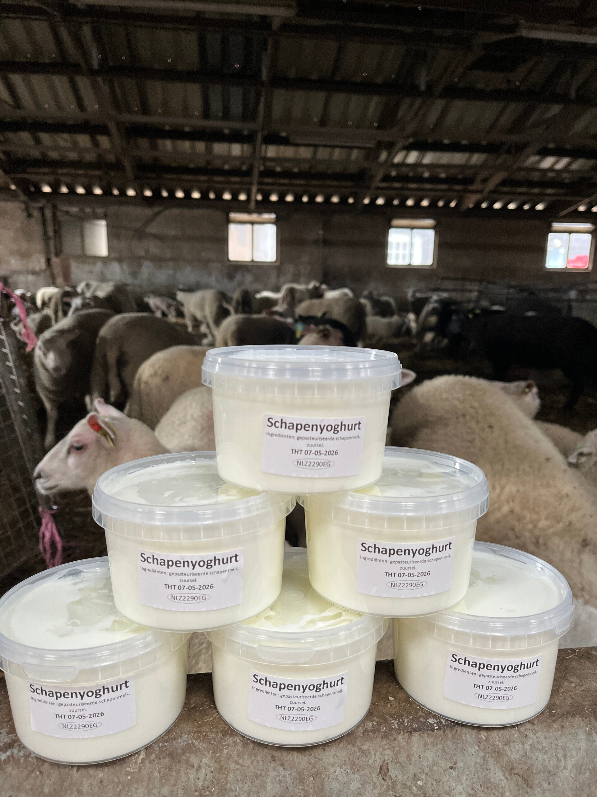 Schapenyoghurt