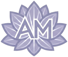 Emotion Temperature Code Session Pricing | Amber's Healing Energy