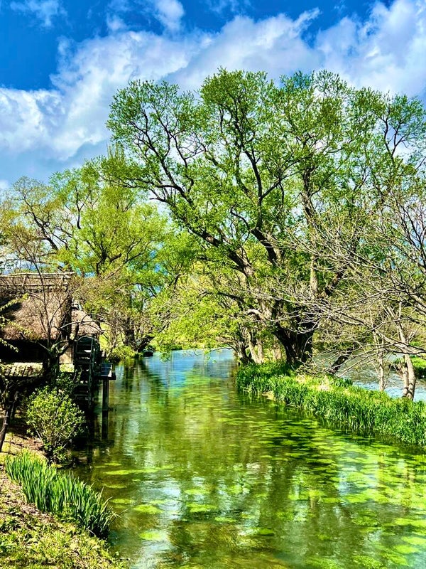Saké et Ferme de Wasabi à Matsumoto