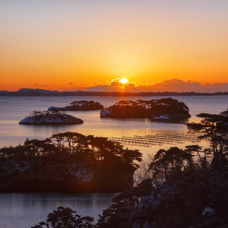 matsushima-standard.jpg
