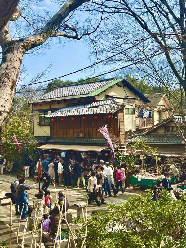 Jindai-ji Temple - Un endroit gardé secret , entre cerisiers en fleurs et spiritualité