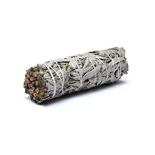 SAUGE blanche bouquet