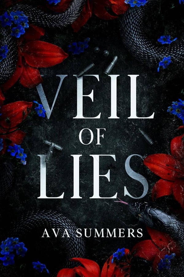 Veil Of Lies (Dark College Romance)