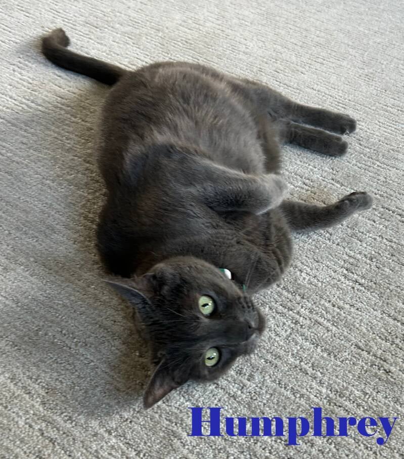 humphrey-standard.jpg