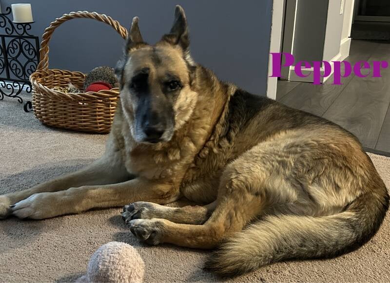pepper1-standard.jpg