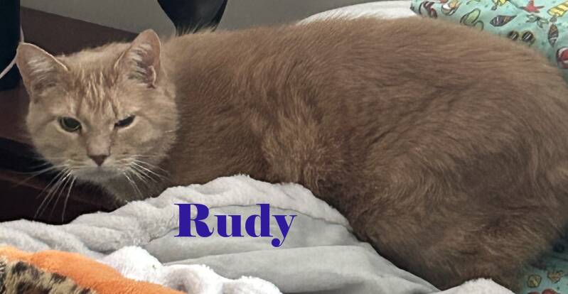 rudy1-standard.jpg