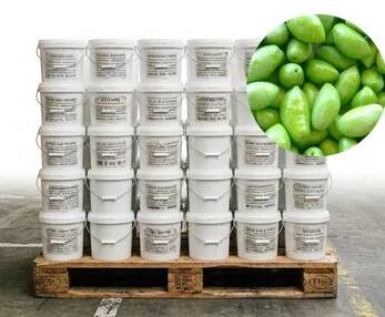 Olive Lucques en palette