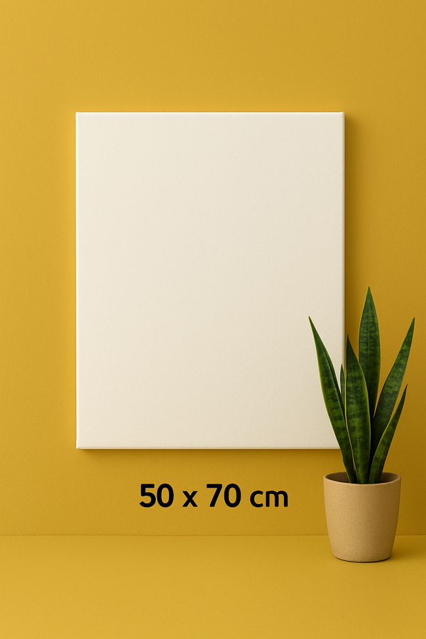 Toile 50 x 70 cm