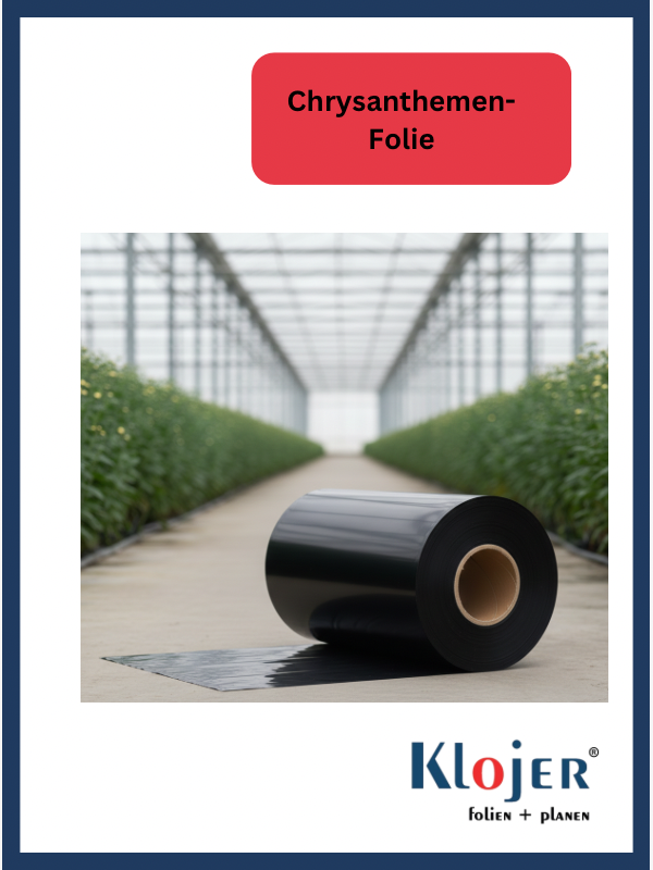 fotos-klojer-wlw-teil-2-2-standard-5o54p4.png