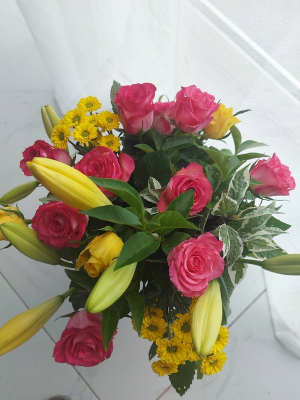 Plaisir d'offrir haut de gamme