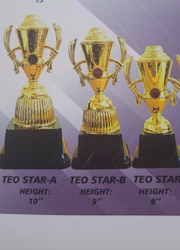 TEO STAR         PRICE PER UNIT