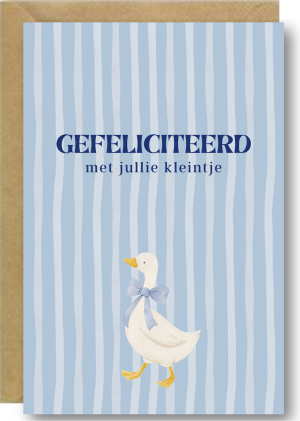 Geboorte - eendje jongen