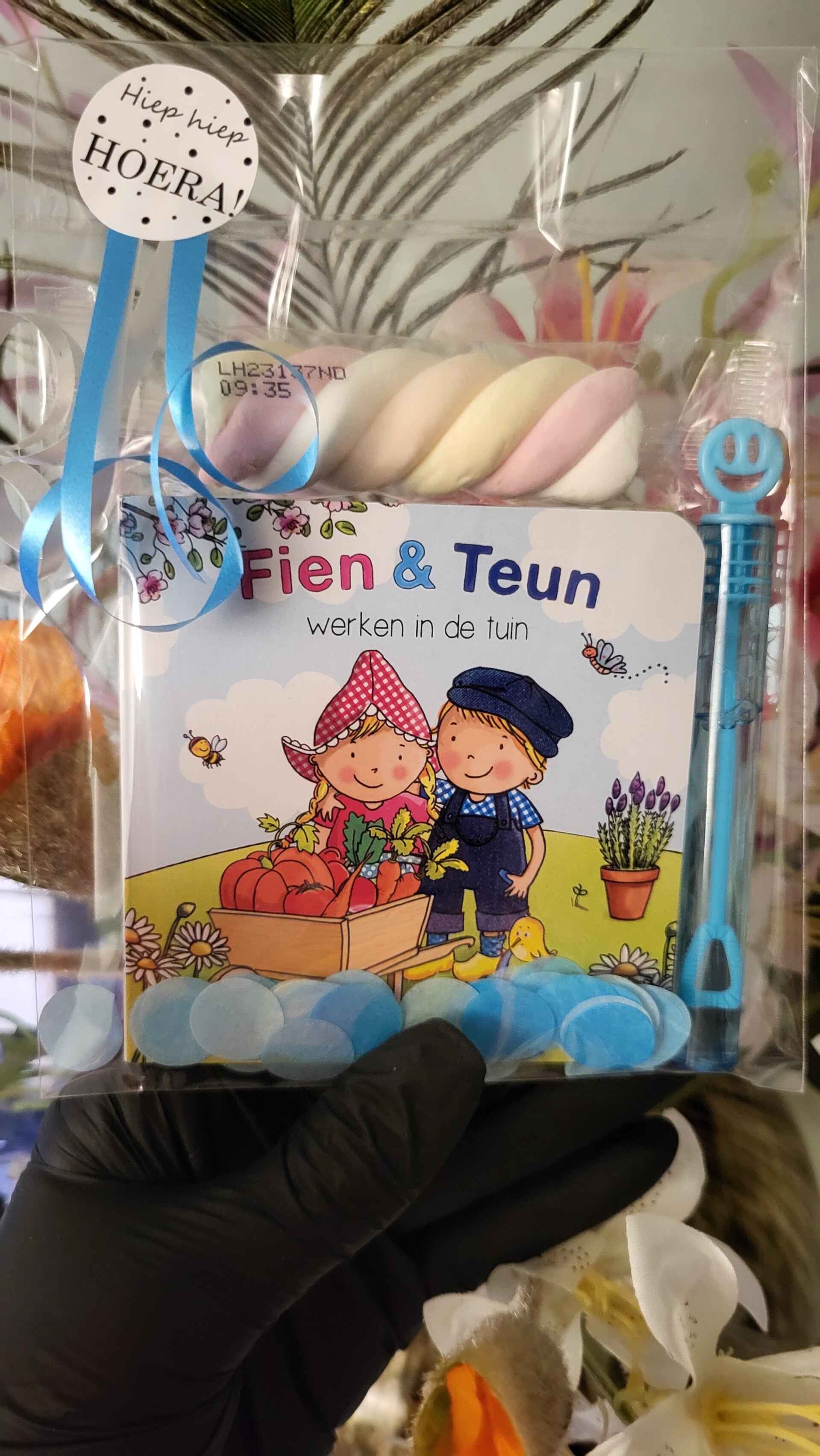 Los boekje Fien en Teun