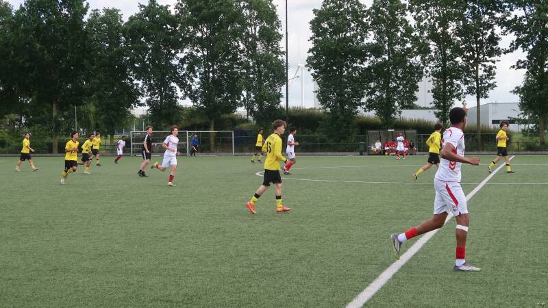img_6036-standard.jpg