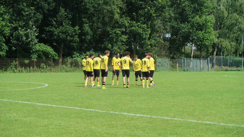 img_6117-standard-l6gdoi.jpg