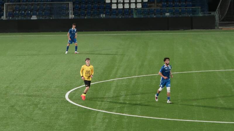 img_6590-standard.jpg