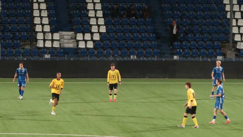 img_6603-standard.jpg