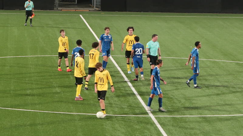 img_6629-standard.jpg