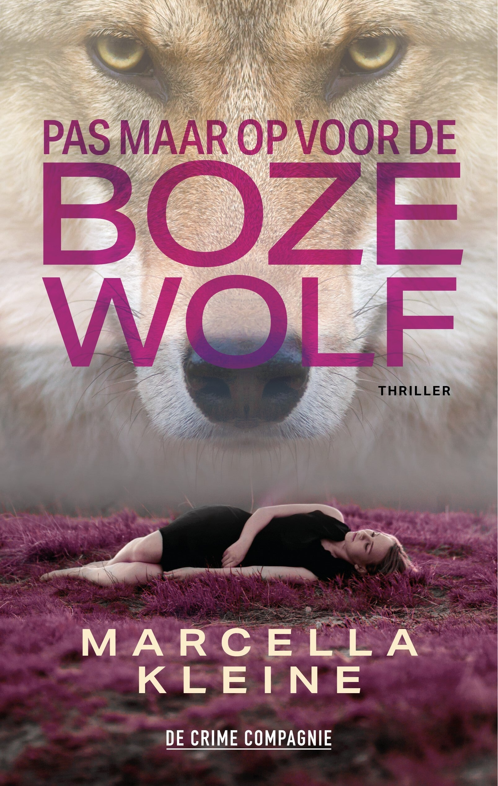 thriller Pas maar op voor de boze wolf