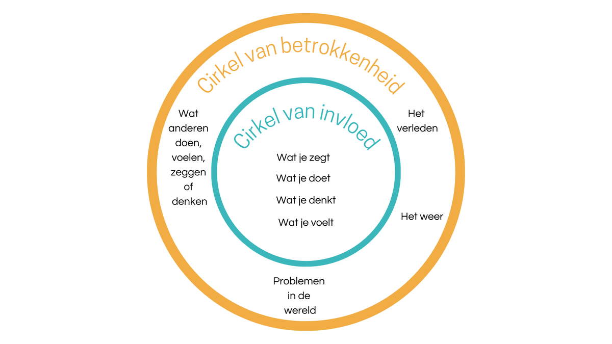Ergonomisch De Stoel Van De Zadelzitting En Hoogte Regelbare Lijst Vector Illustratie Ergonomisch De Stoel Van De Zadelzitting En Hoogte Regelbare Lijst Vector Illustratie