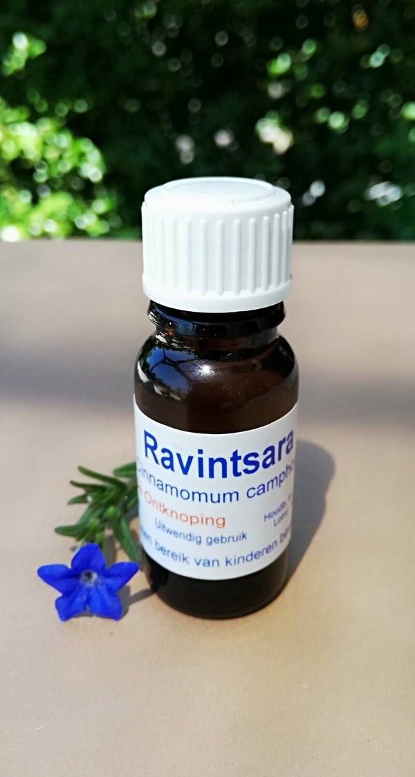 Ravintsara 11ml