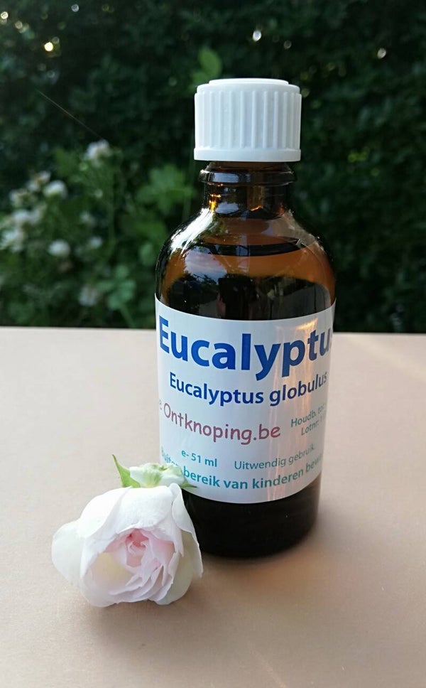 Eucalyptus Globulus 51ml