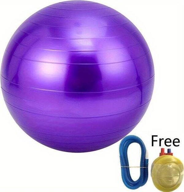 Speelbal voor in de weide