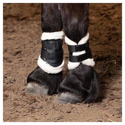 Goedkope paarden en pony Peesbeschermers & beenbeschermers - Beenbescherming Kopen