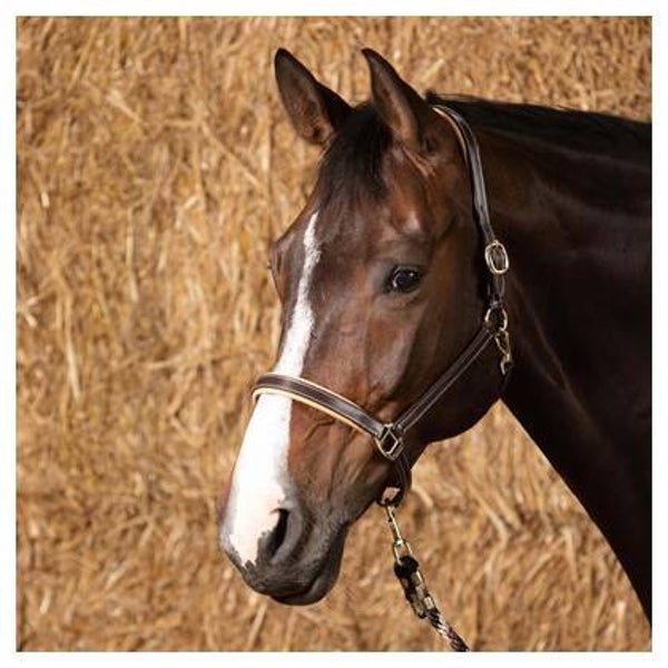 Halster Leder Elegance