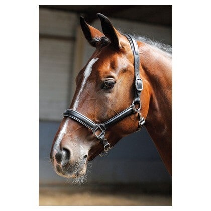 Halster Leder met bies