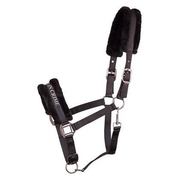 Halster Lyrics Quotes