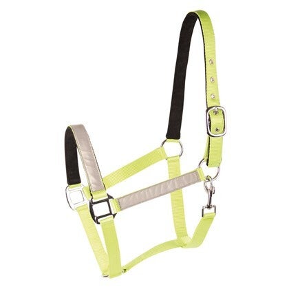Halster Reflective