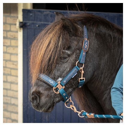 Halsterset Equestrian Society